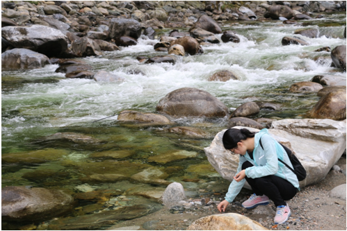 HJC888黄金城·(中国集团)官网