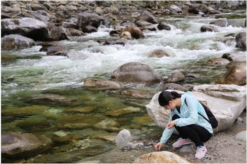 HJC888黄金城·(中国集团)官网