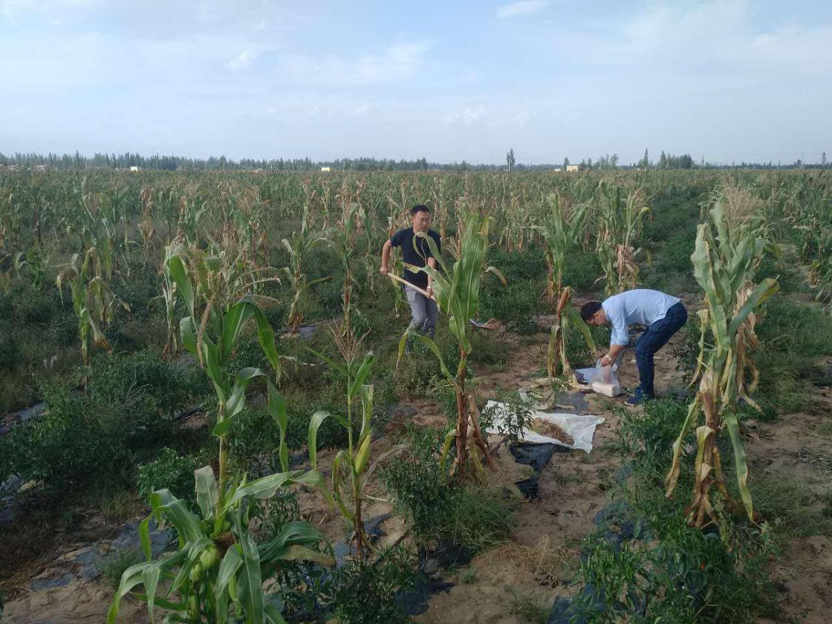 HJC888黄金城·(中国集团)官网