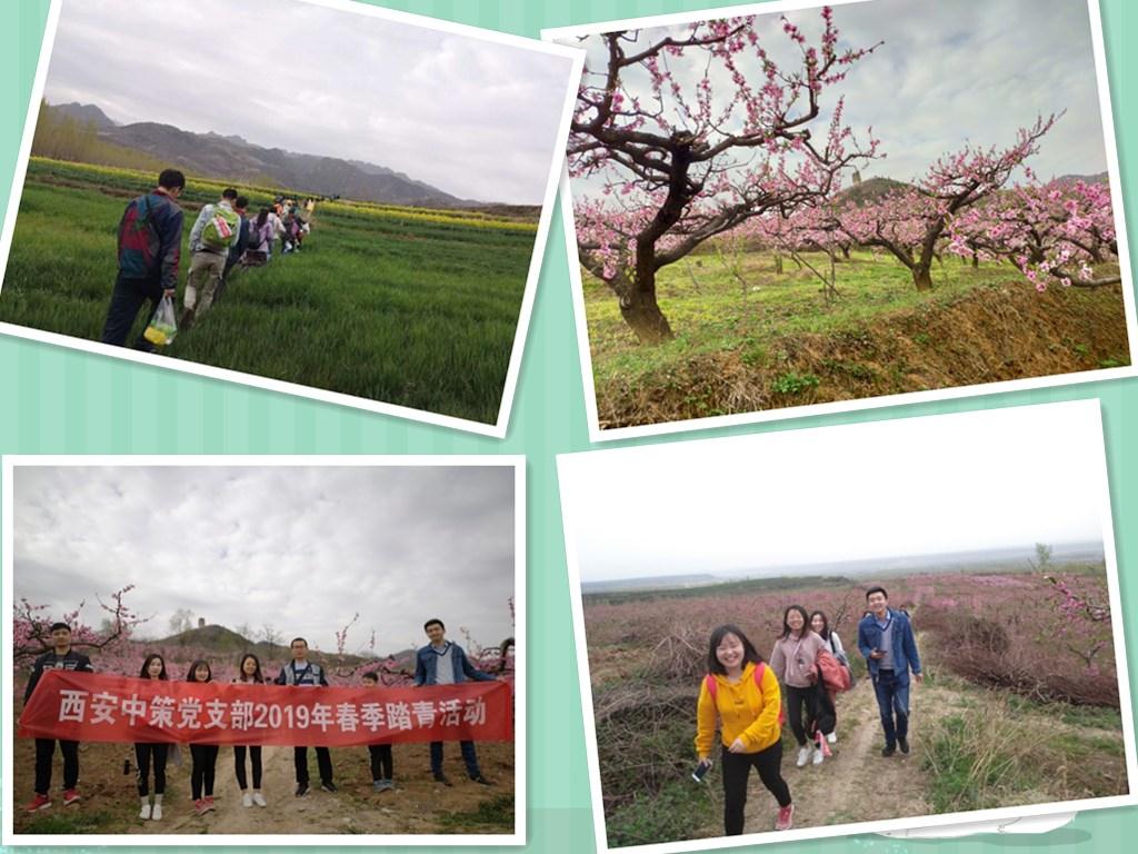 HJC888黄金城·(中国集团)官网