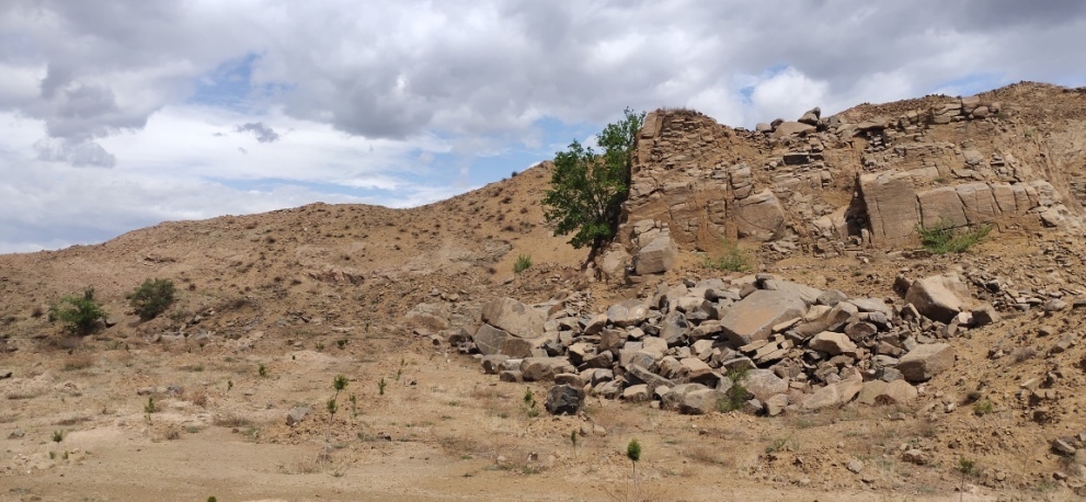 HJC888黄金城·(中国集团)官网