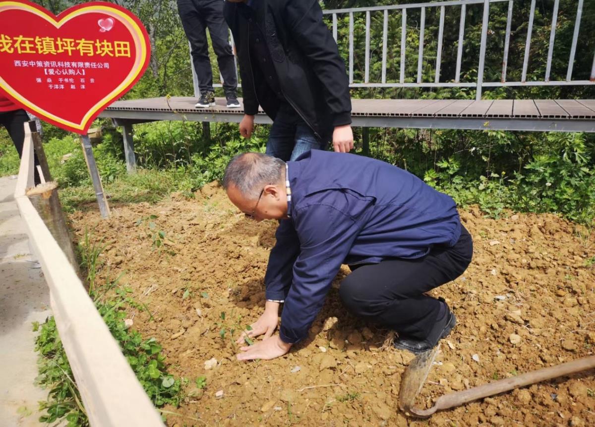 HJC888黄金城·(中国集团)官网