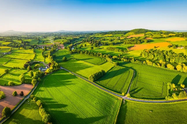 HJC888黄金城·(中国集团)官网