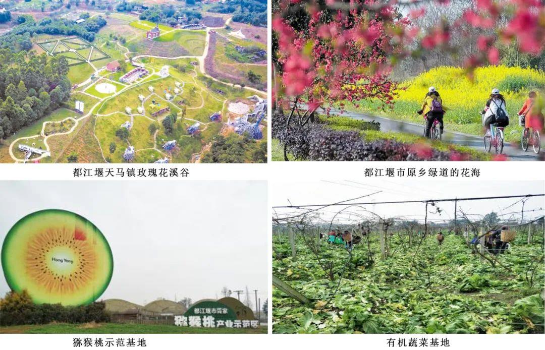 HJC888黄金城·(中国集团)官网