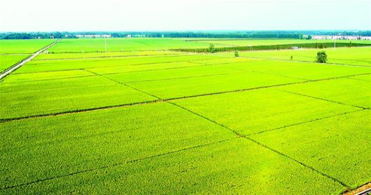 HJC888黄金城·(中国集团)官网