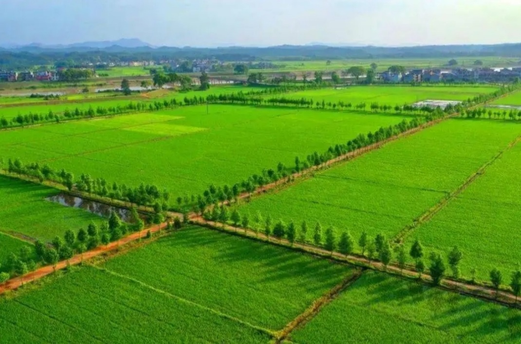 HJC888黄金城·(中国集团)官网