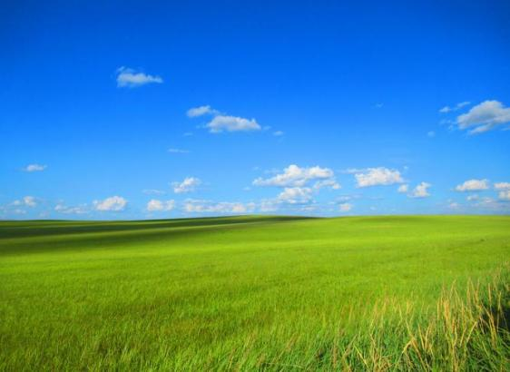 HJC888黄金城·(中国集团)官网