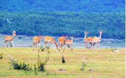 HJC888黄金城·(中国集团)官网