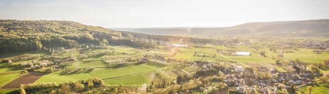 HJC888黄金城·(中国集团)官网