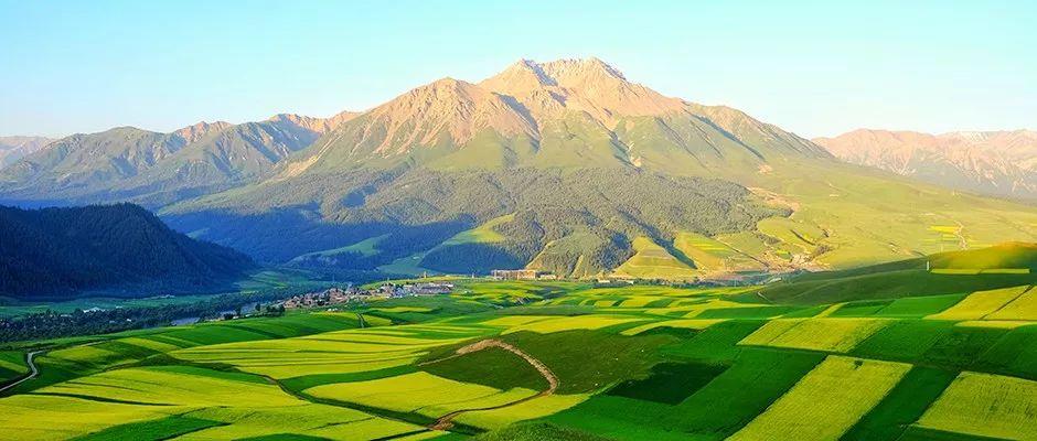 HJC888黄金城·(中国集团)官网