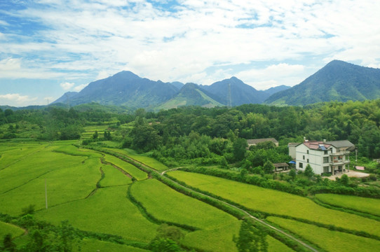 HJC888黄金城·(中国集团)官网