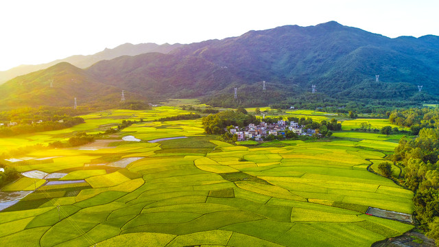 HJC888黄金城·(中国集团)官网