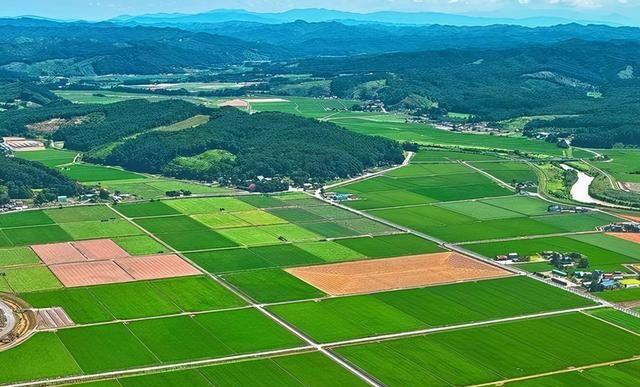 HJC888黄金城·(中国集团)官网