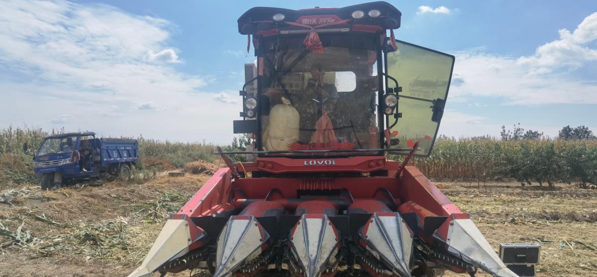 HJC888黄金城·(中国集团)官网