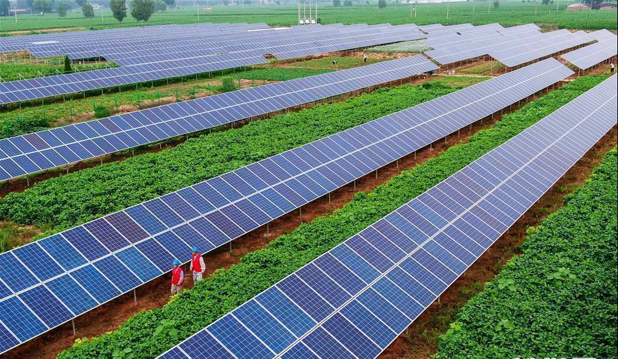 HJC888黄金城·(中国集团)官网