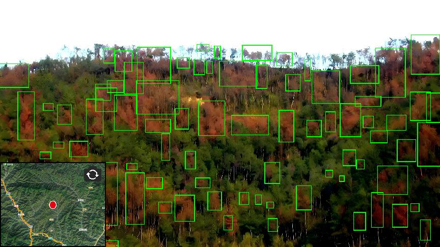 HJC888黄金城·(中国集团)官网