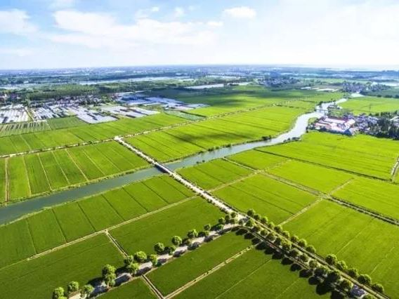 HJC888黄金城·(中国集团)官网