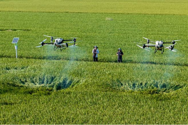 HJC888黄金城·(中国集团)官网